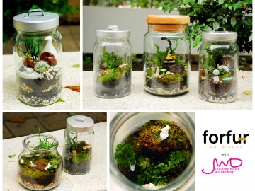 จัดสวนขวดแก้ว เพื่มพื้นที่สีเขียวง่ายๆ จัดวางได้ตามใจ #ตอนที่1 จัดสวนขวดแก้ว เพื่มพื้นที่สีเขียวง่ายๆ จัดวางได้ตามใจ #ตอนที่1